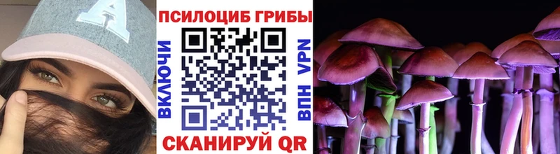 Галлюциногенные грибы GOLDEN TEACHER  Купить где  Яблоновский 